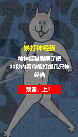 暴打神经猫